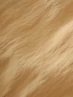 Studio Nicholson Emery Short In Sand -Studio Nicholson EMERYSNW 1393TEXTUREDFLUIDVISCSESAND 0392 scaled